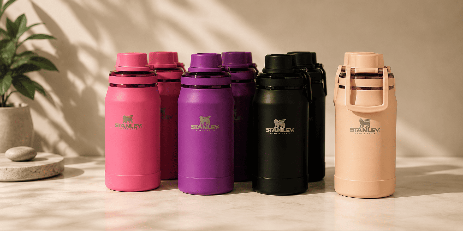 botellas stanley